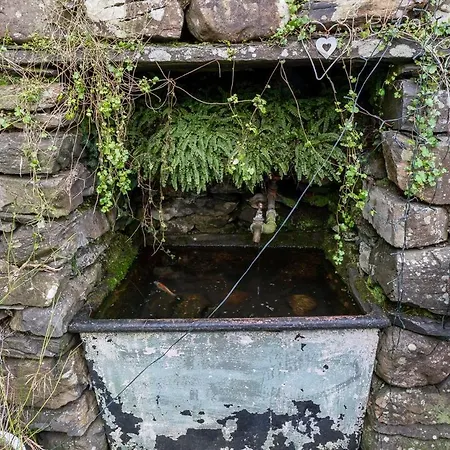 Dixie Airstream - Retro 1970s American Airstream Close To Windermere Semesterbostad