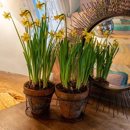 Dixie Airstream - Retro 1970s American Airstream Close To Windermere