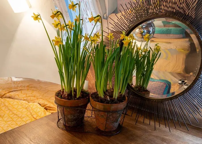 Dixie Airstream - Retro 1970s American Airstream Close To Windermere